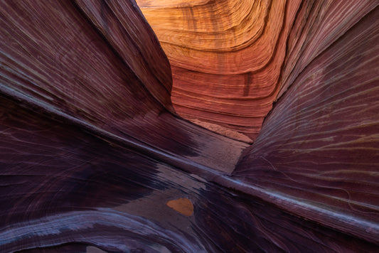 The Wave & Vermillion Cliffs Adventure